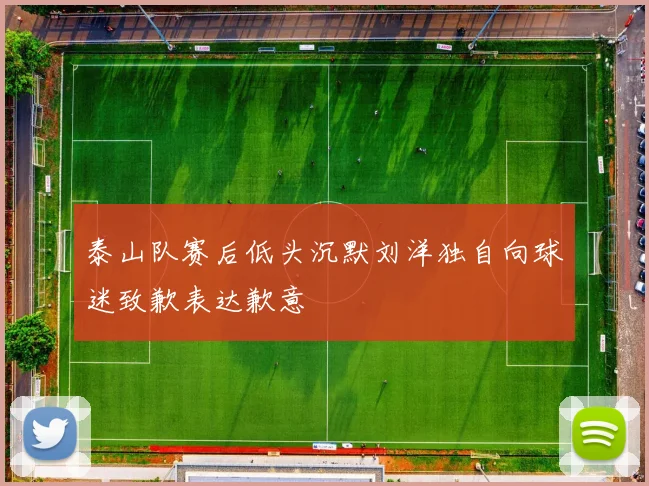泰山队赛后低头沉默刘洋独自向球迷致歉表达歉意